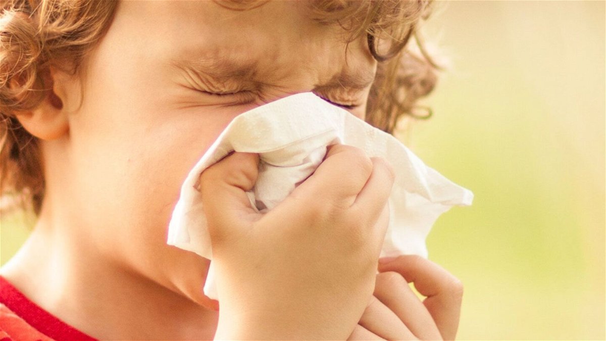 <i>Kontrec/E+/Getty Images/FILE</i><br/>A new study takes one of the largest looks yet at trends in childhood allergies across the United States.