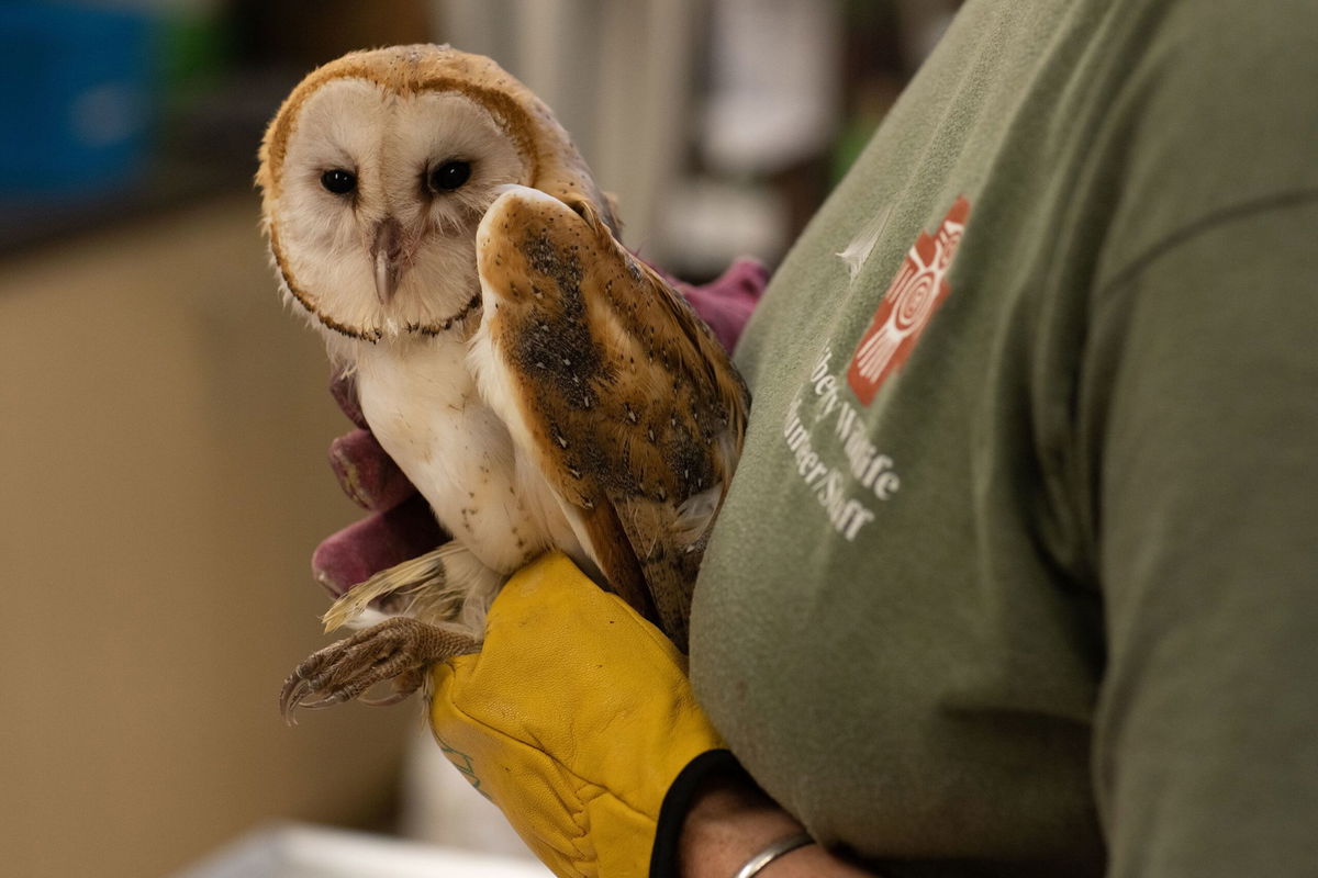 <i>Caitlin O'Hara for The Washington Post/Getty Images</i><br/>Volunteer certified veterinary technician Kathy Komlos