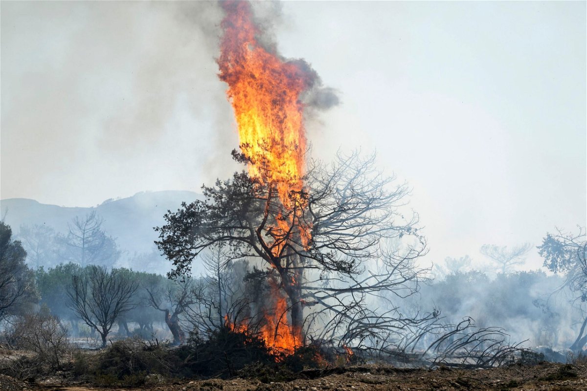 <i>Petros Giannakouris/AP</i><br/>Flames burn a tree in Vati village