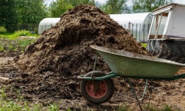 A man was sentenced to over six years in prison for running a multimillion-dollar scheme where he pretended to turn cow manure into green energy
