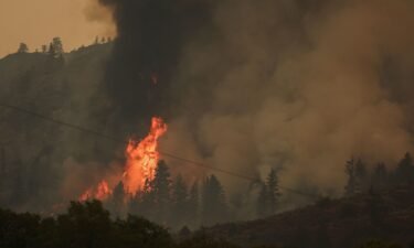 Trees catch fire during the Eagle Bluff wildfire after it crossed the Canada-US border from the state of Washington and prompted evacuation orders