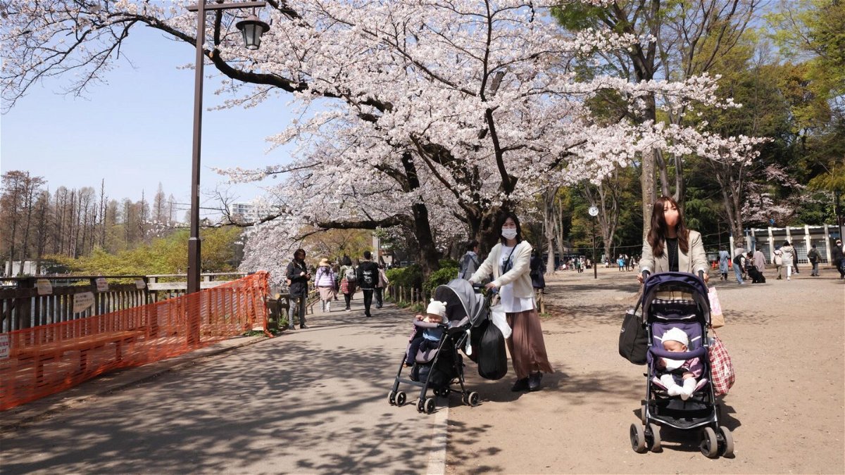 <i>Stanislav Kogiku/SOPA Images/Sipa USA</i><br/>Visitors push baby strollers through Inokashira Park in Tokyo