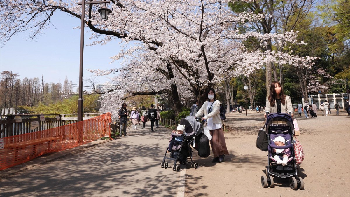 Visitors push baby strollers through Inokashira Park in Tokyo
