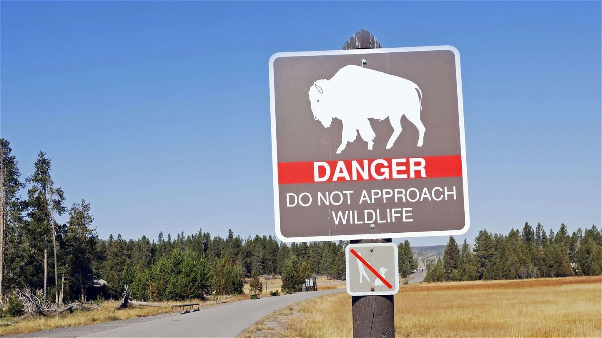 <i>Huetter/DPA/Zuma/File</i><br/>A warning sign featuring bison is shown in Yellowstone National Park in Wyoming. A bison gored a 47-year-old Arizona woman in Yellowstone National Park