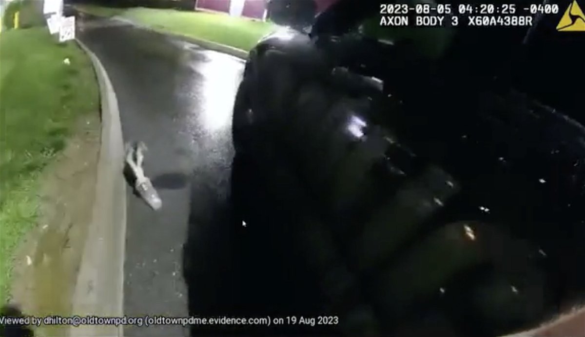 That's bravery! Video shows Maine police officer's encounter with