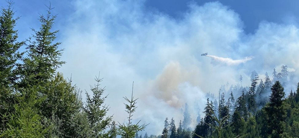 Wiley Fire fought from the air and on the ground in the Willamette National Forest