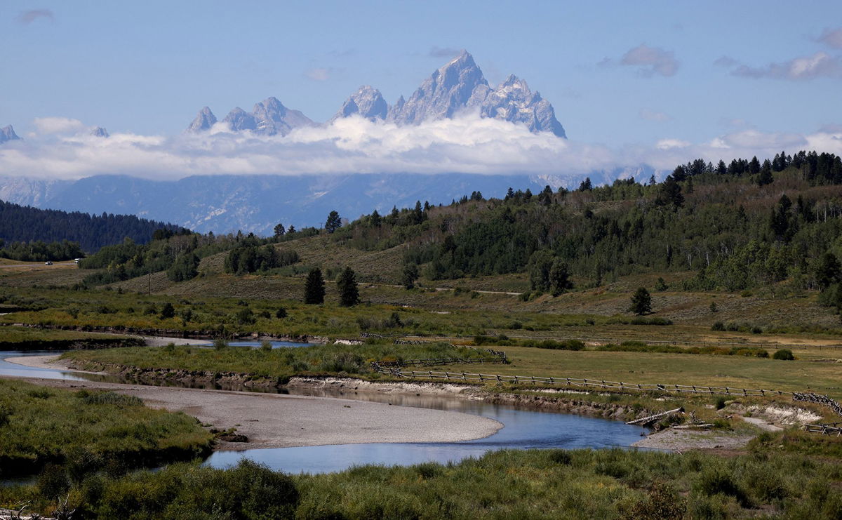 How Roads Have Transformed the Natural World