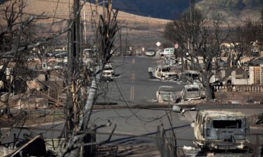 Burnt trees and cars and the ruins of houses are what is left after the Lahaina fire burnt through the city