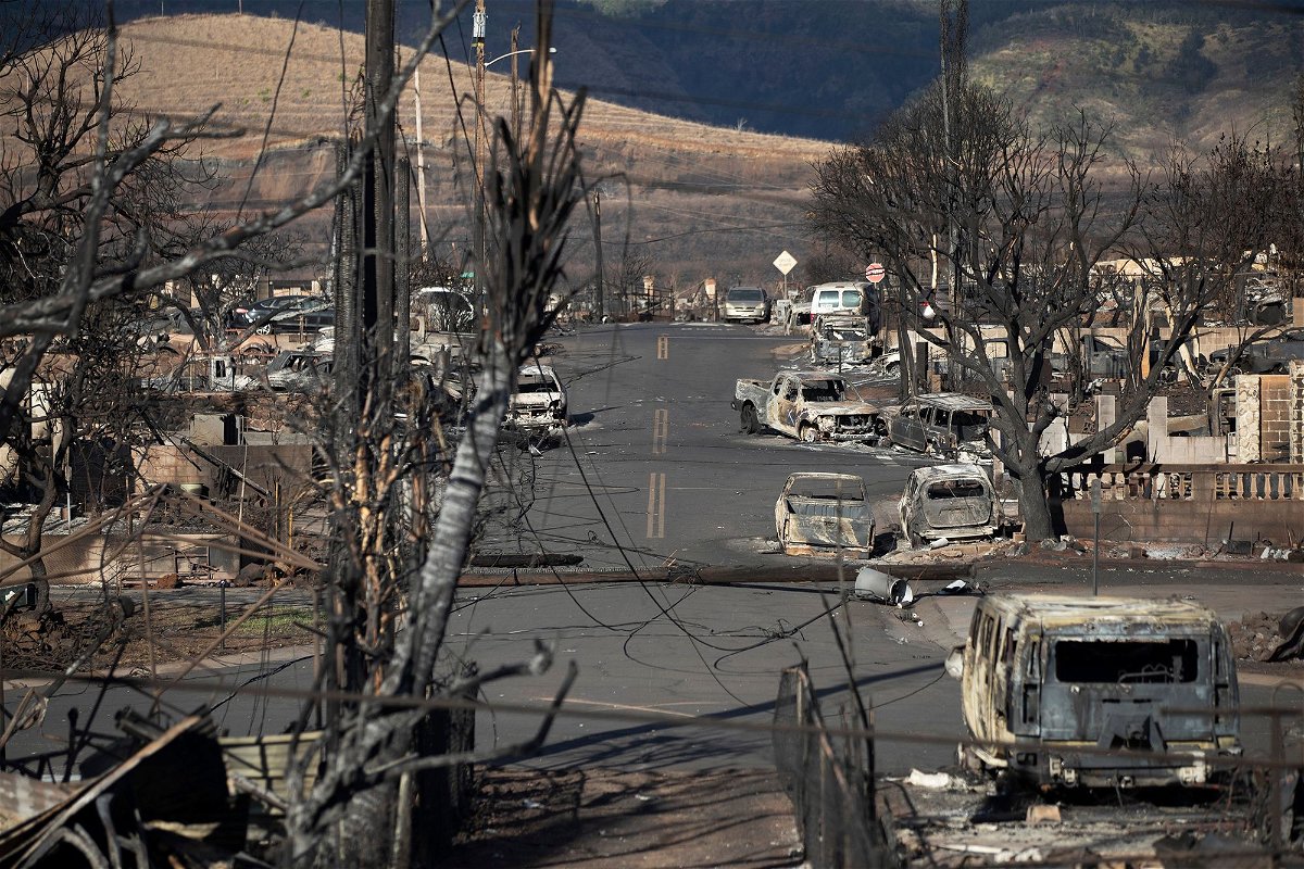 <i>Etienne Laurent/EPA-EFE/Shutterstock</i><br/>Burnt trees and cars and the ruins of houses are what is left after the Lahaina fire burnt through the city