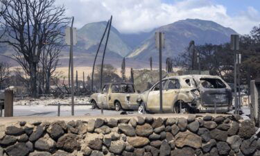 Burnt-out cars in Lahaina are pictured here. Residents said they heard of people abandoning their cars to run into the ocean as the fires hit.