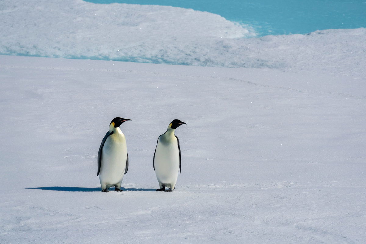 <i>Julian Quinones/CNN</i><br/>An iceberg drifts off the Antarctic Peninsula in March.