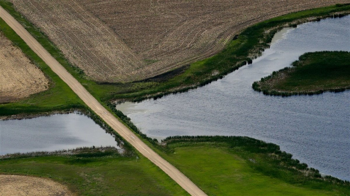 <i>Charlie Riedel/AP</i><br/>A road bisects wetland near Kulm