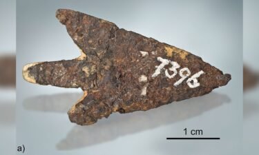 A side view of the 39 millimeter (1.5 inch) long arrowhead.