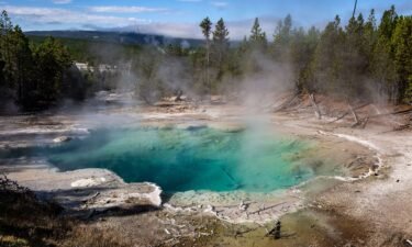 Yellowstone National Park officials cautioned that the ground in thermal areas is fragile and thin