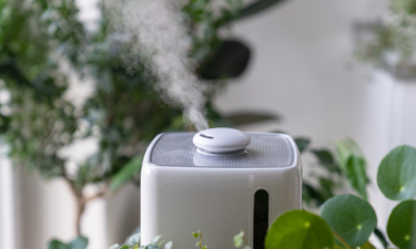 20 ways to reduce indoor air pollution in your home