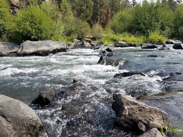 early a quarter of the water in the Middle Deschutes is a result of Deschutes River Conservancy’s Instream Leasing Program, a program which received a boost in the recent legislative session