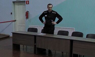 Alexey Navalny is seen via video link at a previous hearing at a court near Moscow on August 4.