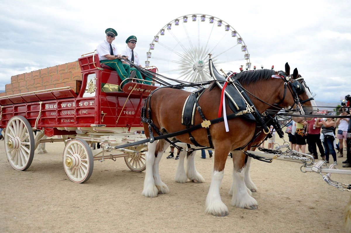 Budweiser, Clydesdales coming back to Super Bowl 56