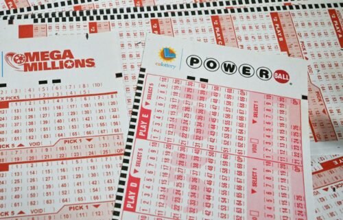 The lucky player who won the $1.6 billion Mega Millions prize last month has stepped forward to claim the winnings.