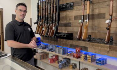 CEO of Escarpment Arms in Lockport Joseph Olscamp has grown increasingly frustrated with how the background check system is operating.