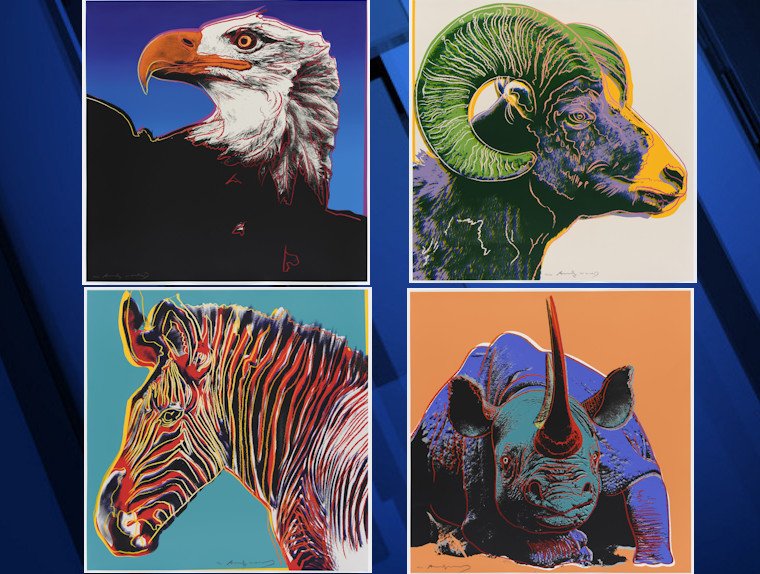 Andy Warhol, Bald Eagle, 1983; Grevy's Zebra, 1983; Bighorn Ram, 1983; Black Rhinoceros, 1983; all from the Endangered Species portfolio, screenprint on Lenox Museum board, Courtesy Ronald Feldman Gallery, New York. © The Andy Warhol Foundation for the Visual Arts / Artists Rights Society (ARS), New York / Ronald Feldman Gallery, New York