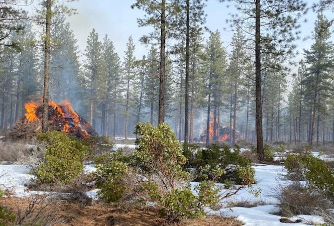 Pile-burning on the Deschutes National Foreset