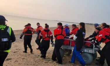 Rescuers were able to release the two dolphins safely at Herring Cove Beach in Provincetown.