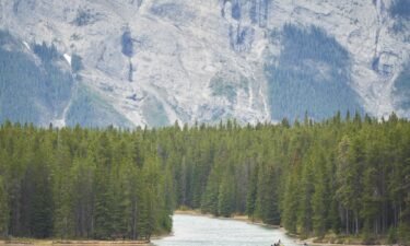 Two people are dead after a suspected grizzly bear attack in Canada’s Banff National Park. Pictured is Lake Minnewanka in Banff National Park in Alberta