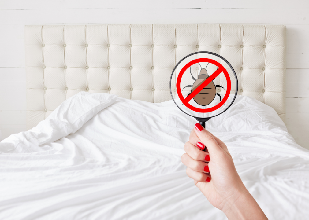 11 Ways To Prevent Bed Bugs - KTVZ