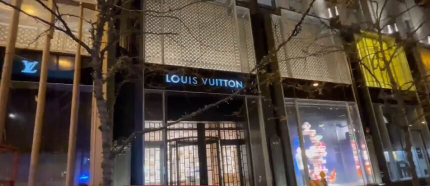 860 Louis Vuitton ideas in 2023