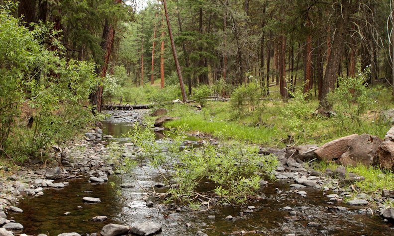 A project on McKay Creek to restore critical habitat for migrating steelhead trout will receive $4 million from the Oregon Water Resources Department