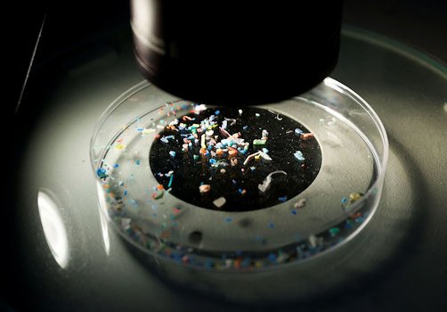 Microplastics collected from the sea near Barcelona, Spain, are shown under a microscope on July 5, 2022.