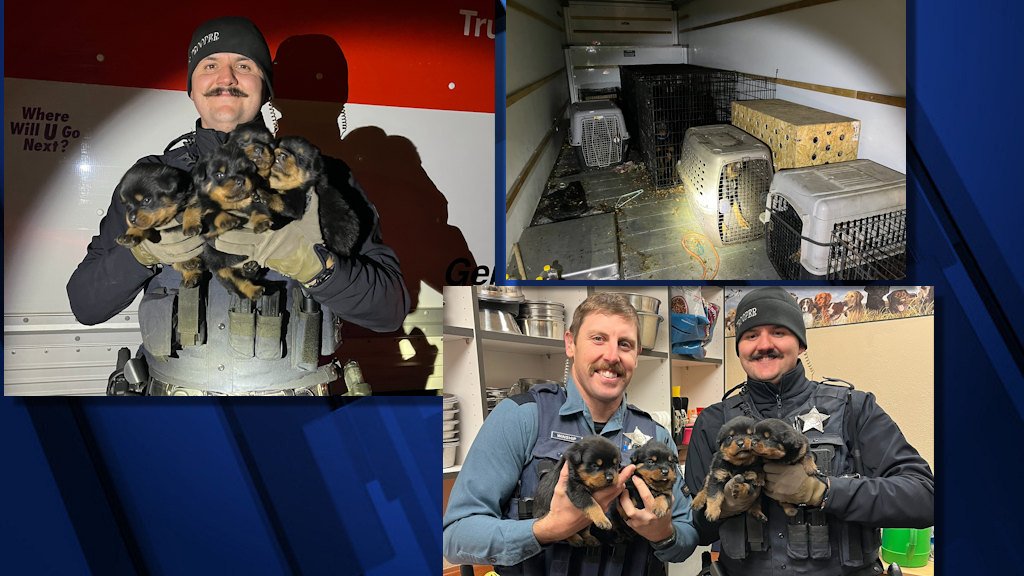 OSP troopers with some of the abandoned puppies, dogs found in abandoned, stolen rental truck on Thanksgiving