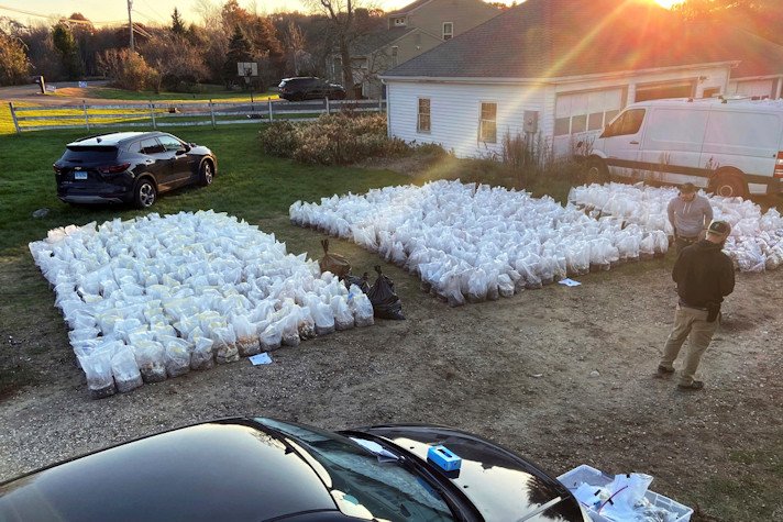 Connecticut State Police, photo shows bags of psychedelic mushrooms removed from a home in Burlington, CT, on Thursday, Nov. 2
