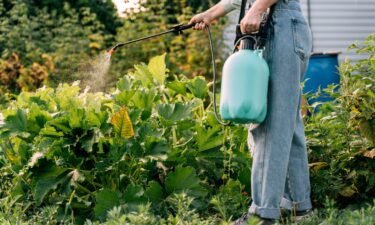 Be aware of your pesticide exposure around the house and in the food you eat