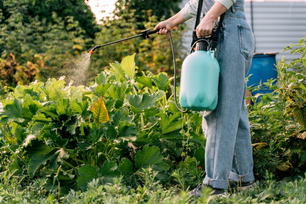 <i>Tatiana Maksimova/Moment RF/Getty Images</i><br/>Be aware of your pesticide exposure around the house and in the food you eat