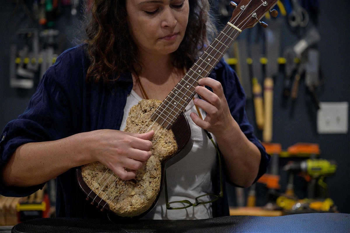 <i>Angela Weiss/AFP/Getty Images</i><br/>Rachel Rosenkrantz playing a mycelium ukulele .