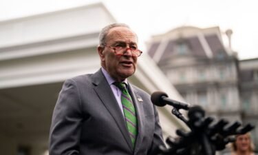 Senate Majority Leader Chuck Schumer said on Tuesday that he will bring a resolution to the Senate floor that