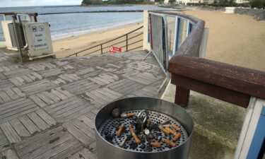 An ashtray with cigarette butts at the edge of the beach