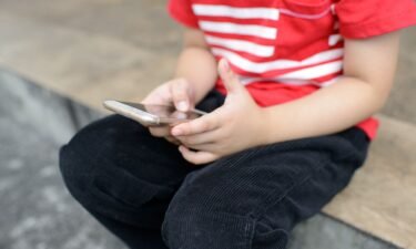 Meta has sued the Federal Trade Commission to prevent regulators from banning the social media giant from monetizing the user data of children.