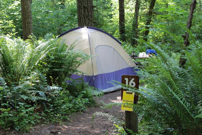 Campsite at LL Stub Stewart State Park