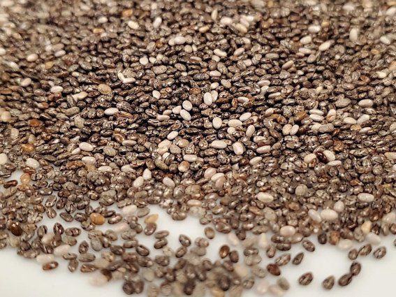 Chia seeds are being studied for their health benefits.