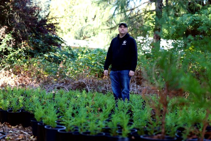  City of Bellevue Forest Management Program Supervisor Rick Bailey stands among dozens of juvenile giant sequoias Oct. 11, 2022, in Bellevue, Wash. As native trees in the Pacific Northwest die off due to climate change, the U.S. Forest Service and others are turning to a strategy called 