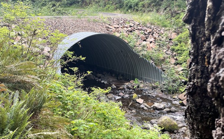 The Small Forestland Investment in Stream Habitat (SFISH) Program is now taking applications for projects, like the 50X15 foot culvert above, to help improve fish passage. 