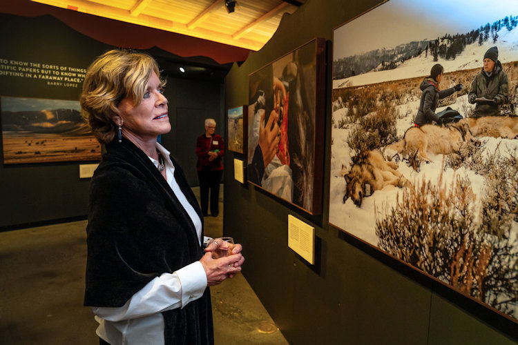 High Desert Museum visitor enjoys National Geographic and Museum of Wildlife Art exhibition