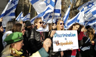 Demonstrators protest outside United Nations headquarters in New York City on December 4.