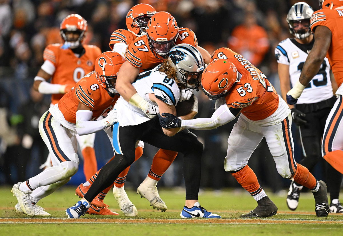 <i>Quinn Harris/Getty Images</i><br/>Carolina Panthers tight end Hayden Hurst is tackled after a catch against the Chicago Bears on November 9.