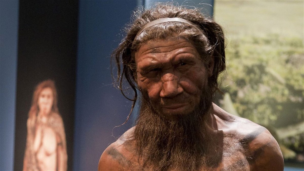 <i>Will Oliver/PA Images/Getty Images</i><br/>A model of a Neanderthal male on display at the Natural History Museum in London.