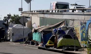 Homelessness grew by 12% in 2023 from last year