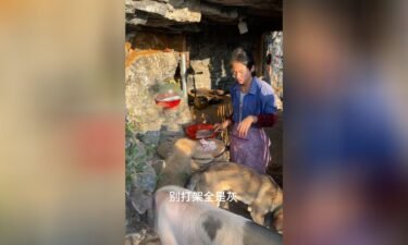 A 21-year-old vlogger in China quit his job in the city and moved back to his rural hometown to pursue a simpler life in the mountains